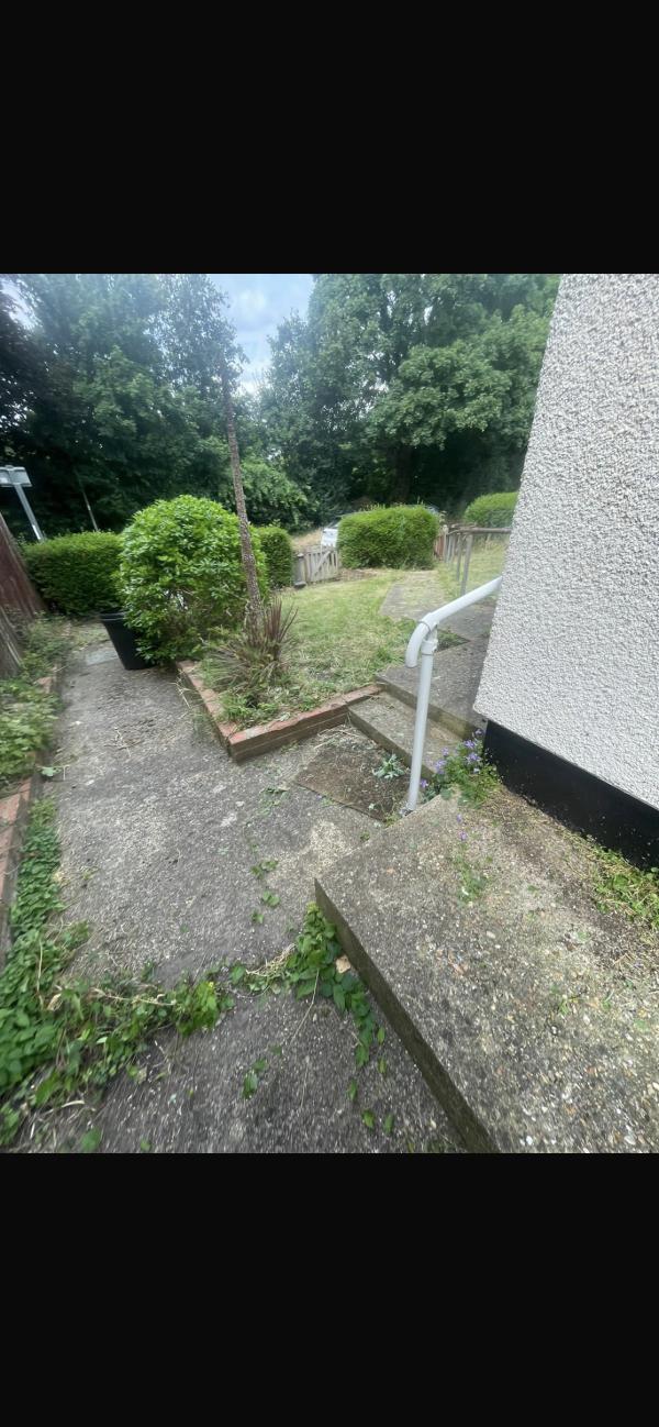 1 bed room flat