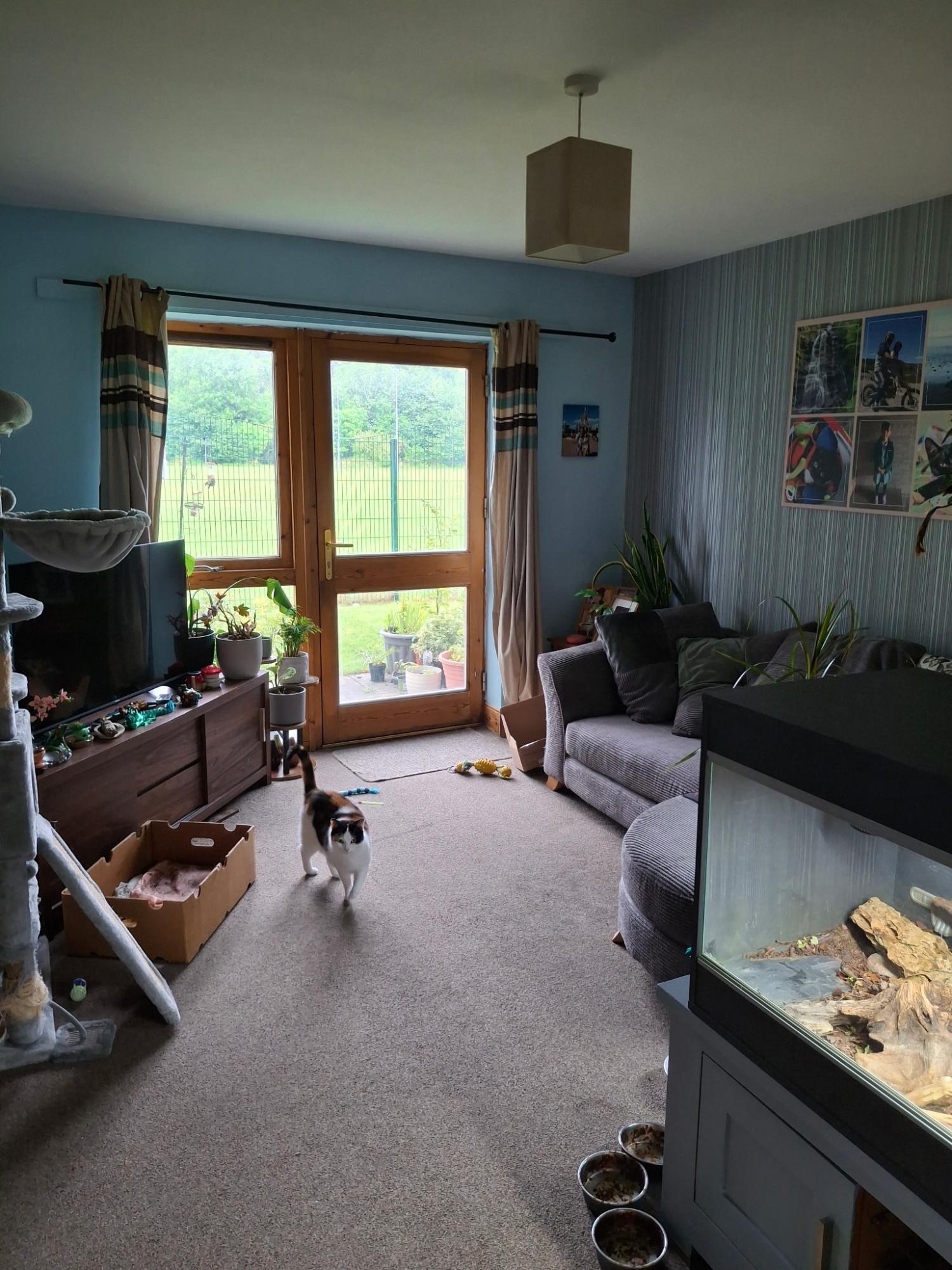 2 bed flat Dalneigh