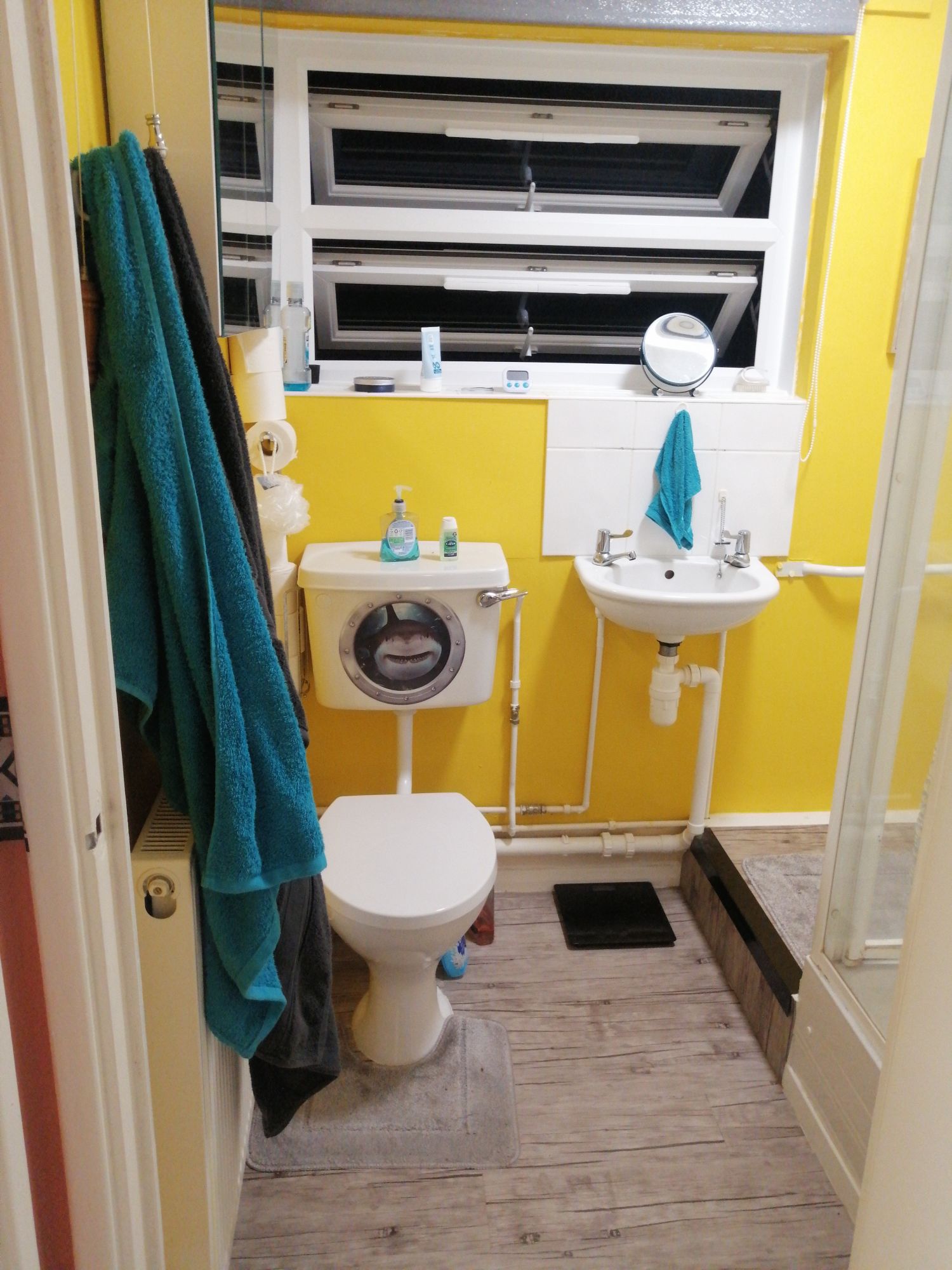 One bedroom flat in sheltered housing