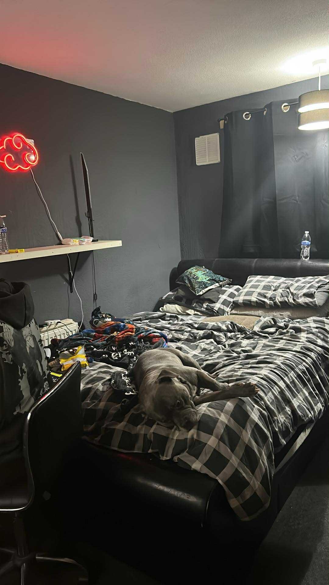 Brighton too hastings