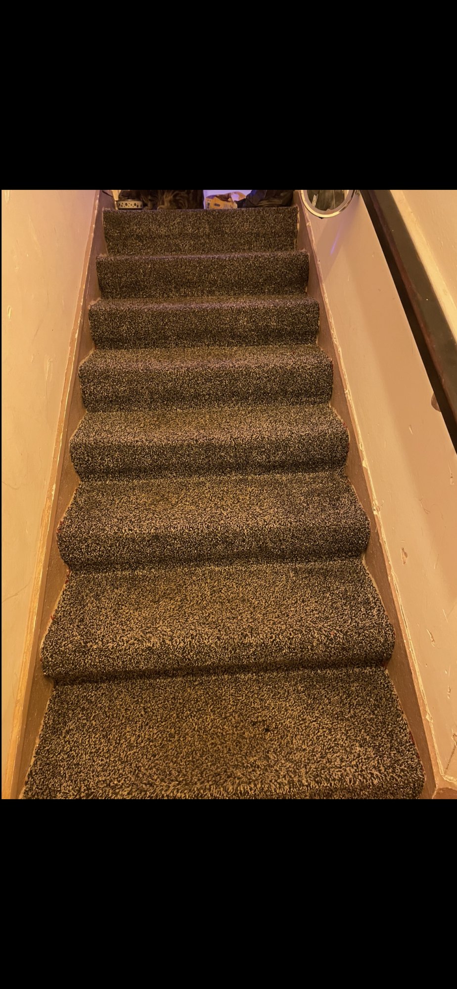 1 bed flat in warrington