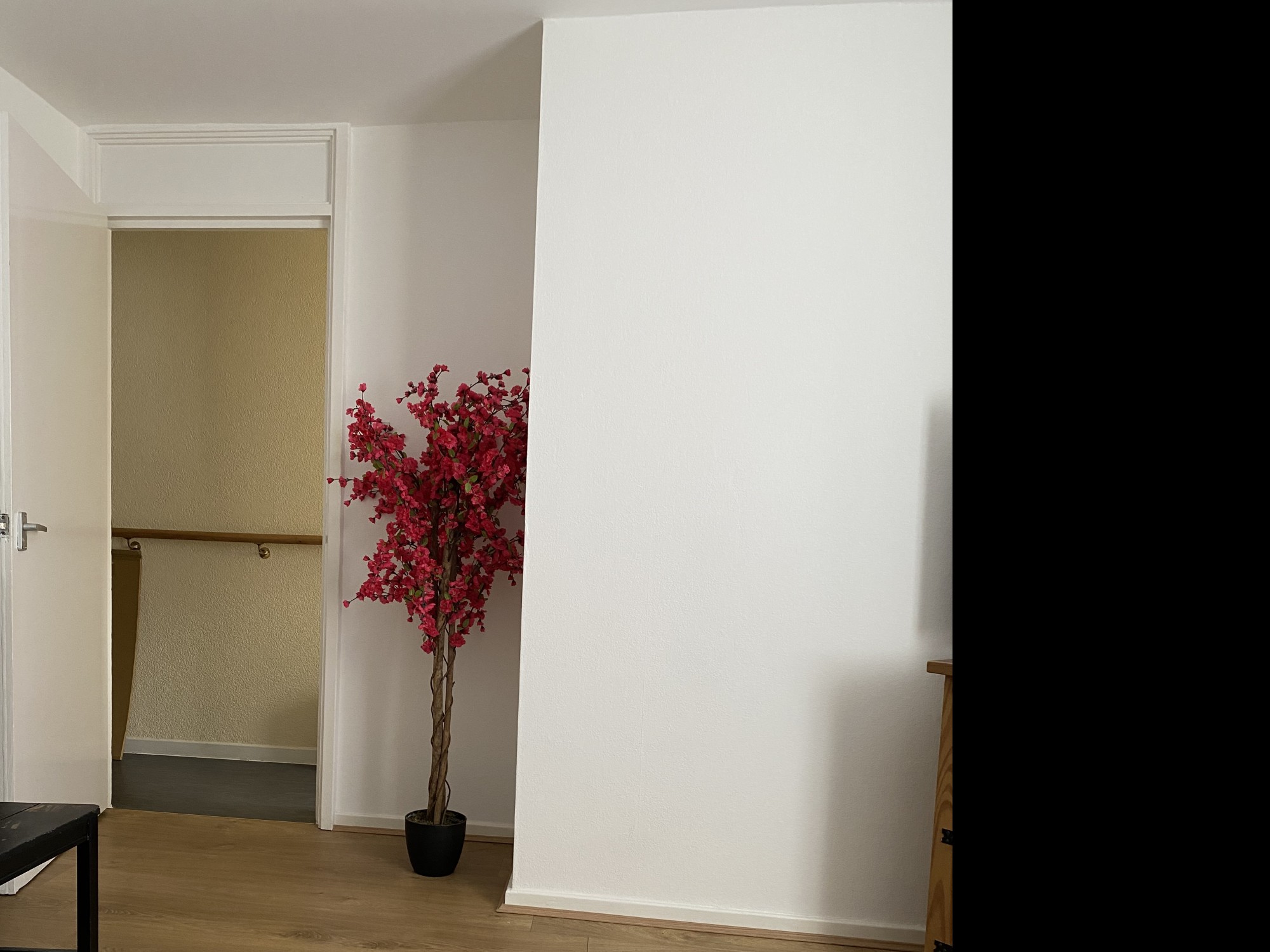 2 Bedroom house with extra box room