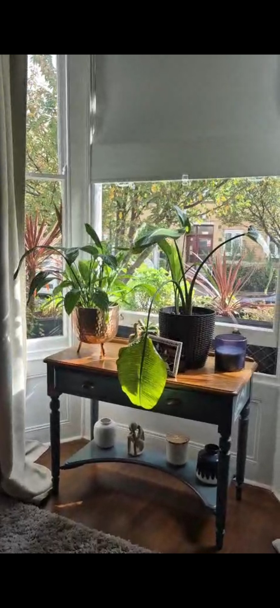 3 bedroom house with garden even small